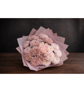 Powder Bloom Chrysanthemum                                                Bugün Teslim