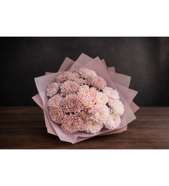 Powder Bloom Chrysanthemum                                                Bugün Teslim