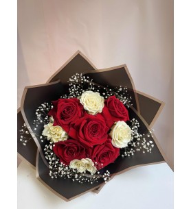 Mocha Elegance – Ekvador Premium