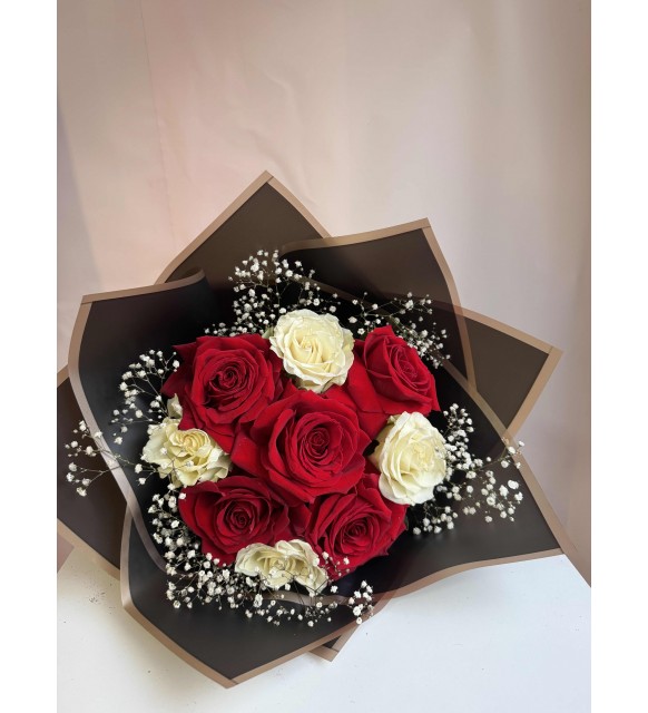 Mocha Elegance – Ekvador Premium